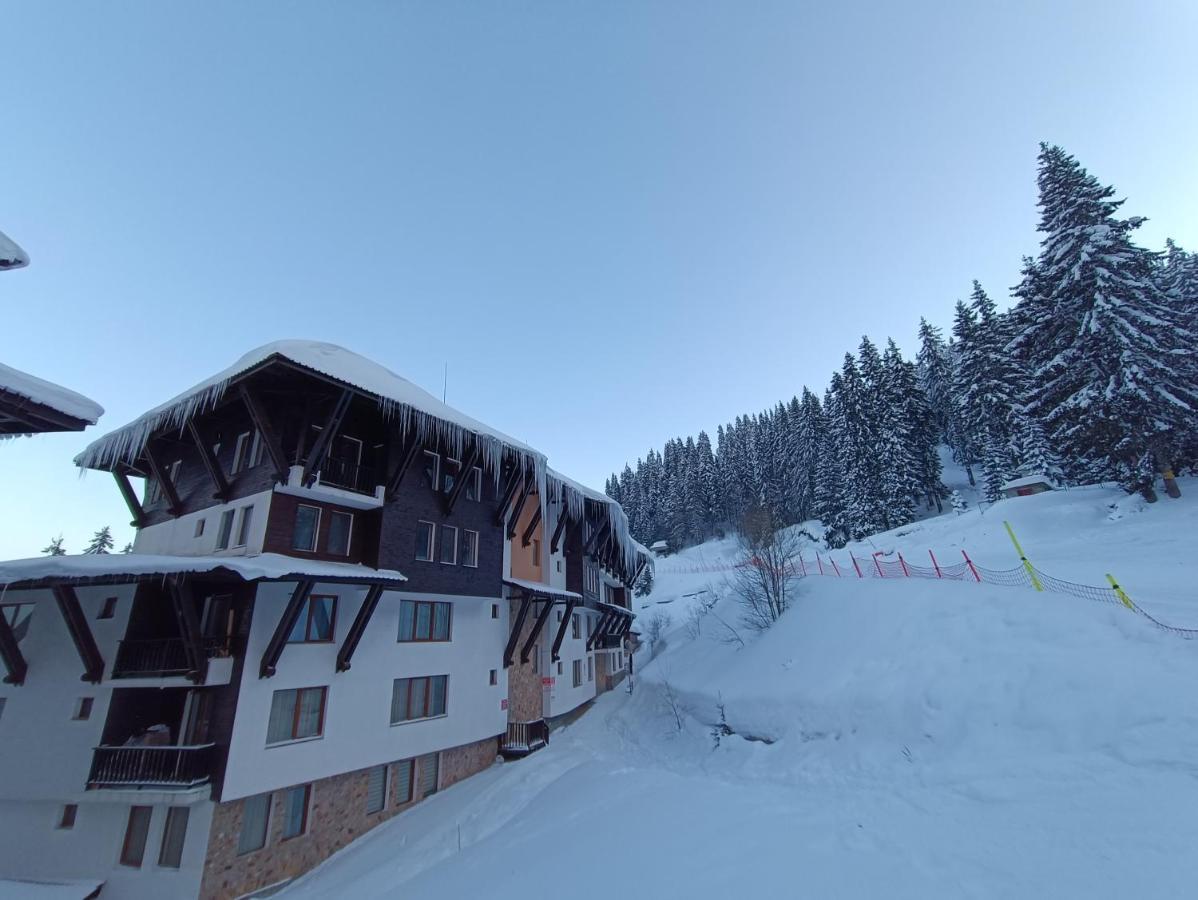 Viva 5 Apartment Grand Monastery On The Ski Slopes Παμπόροβο Εξωτερικό φωτογραφία